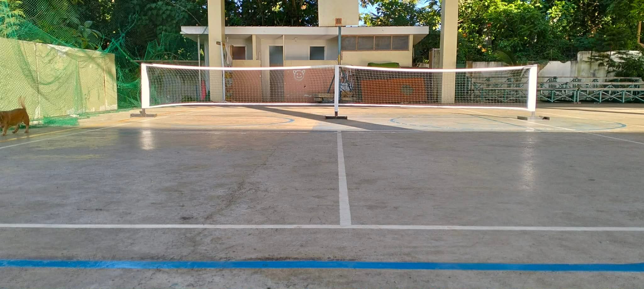 Court 4
